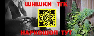 тгк Партизанск