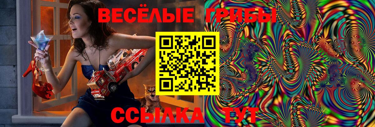 Прокопьевск  Псилоцибиновые грибы прущие грибы  Галлюциногенные грибы Cubensis  Вход с VPN 